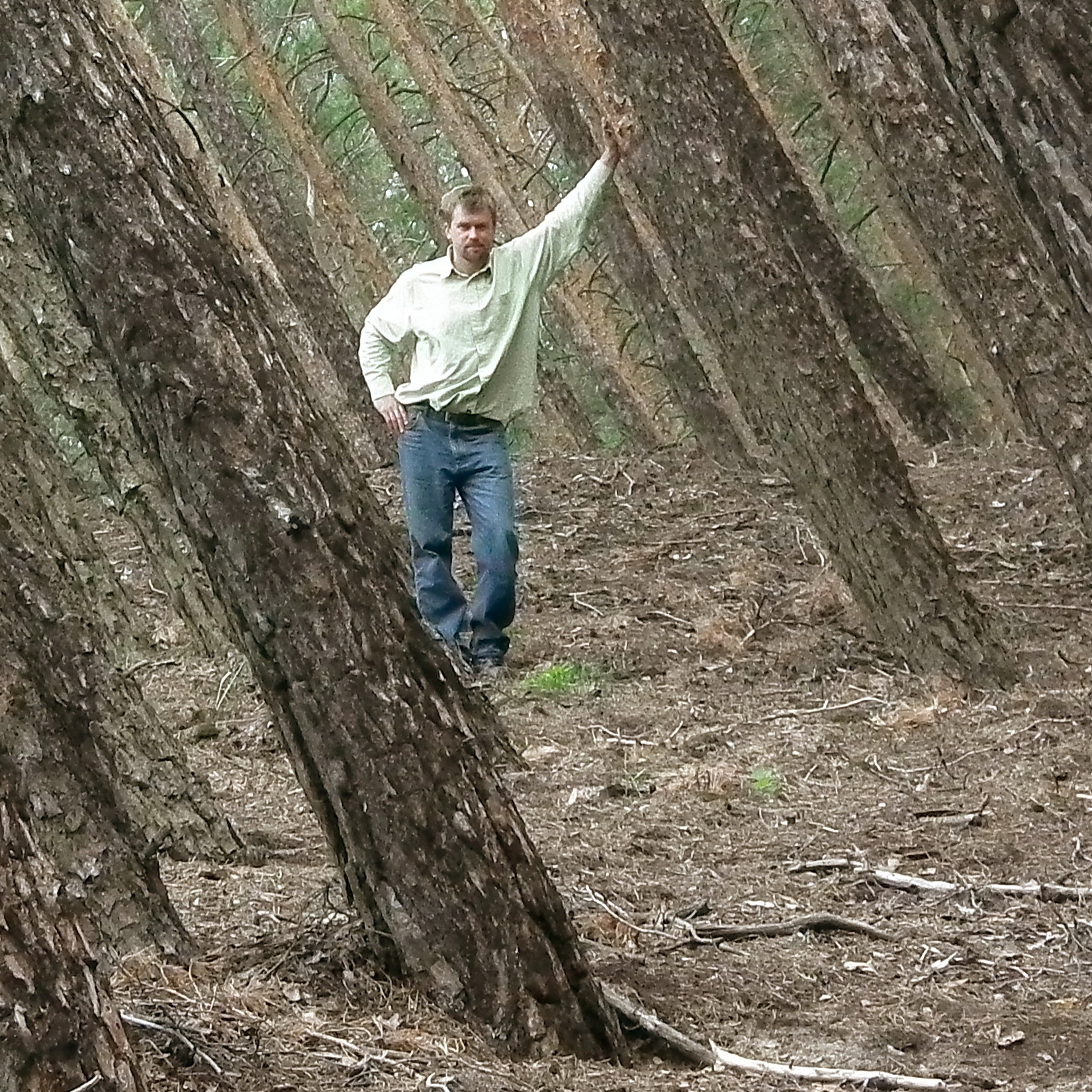 Привет, Да Винчи 